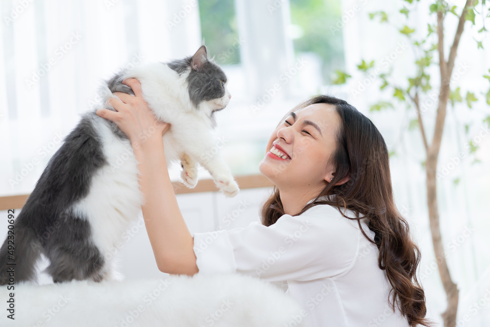 亚洲年轻女子在家玩猫