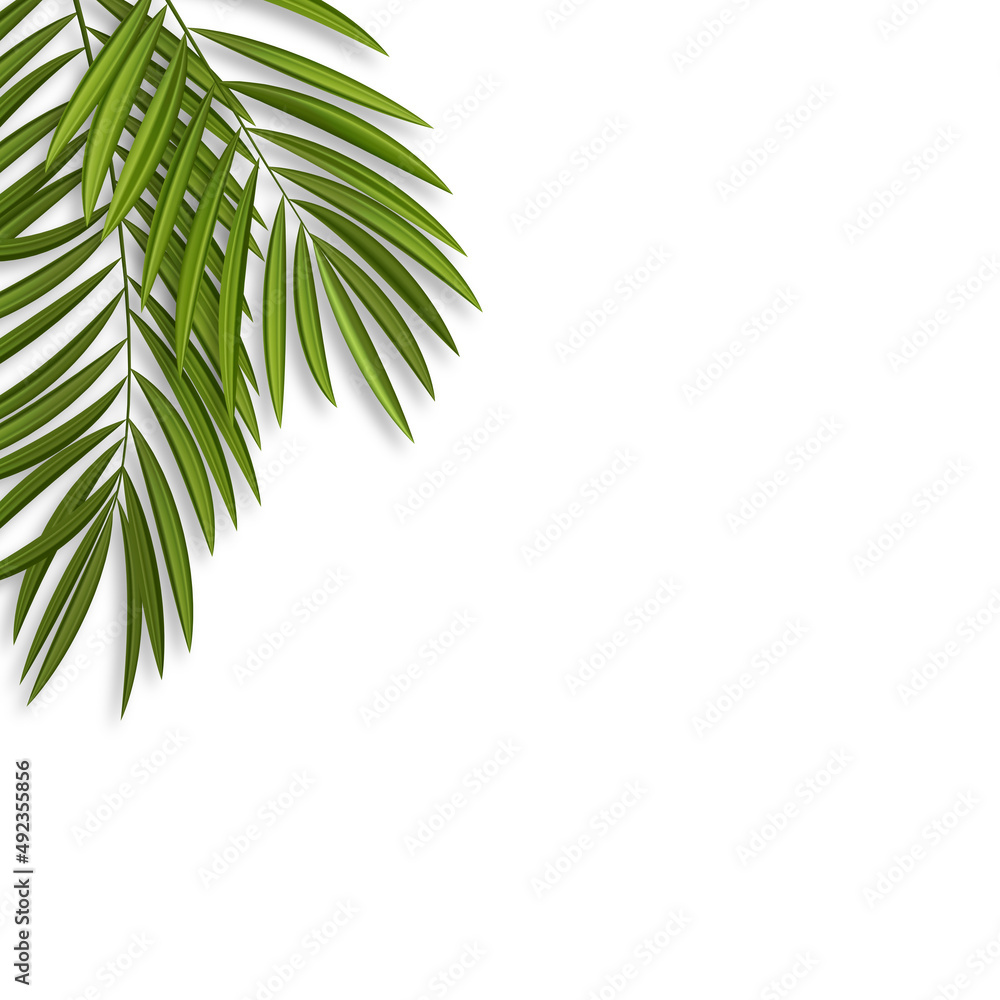 Abstract natural background with realistic palm leaves. Vector Illustration