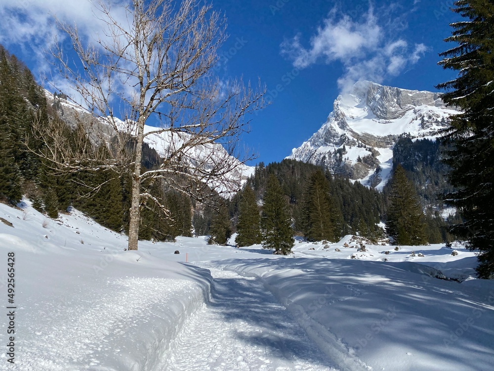 阿尔卑斯山高山峰Wildhuser Schofberg（或Wildhuser Schafberg，2373米）上的白色毯子