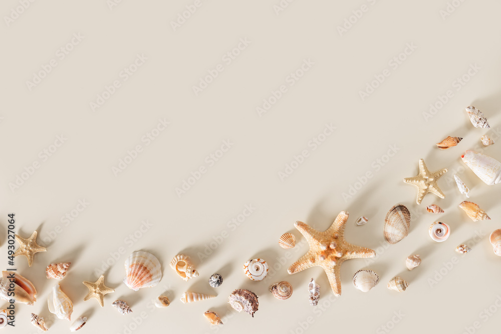 Seashells and starfish with shadows on beige pastel background at sunlight. Summer vacation concept.