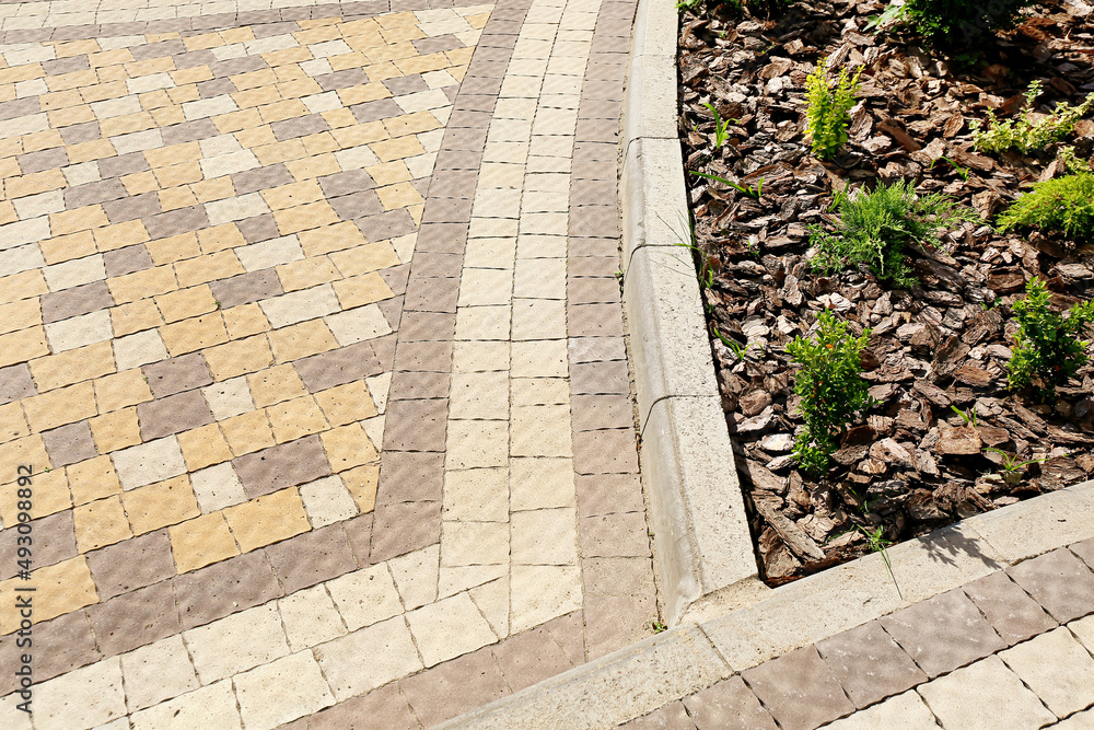 View of beautiful landscape design and pavement