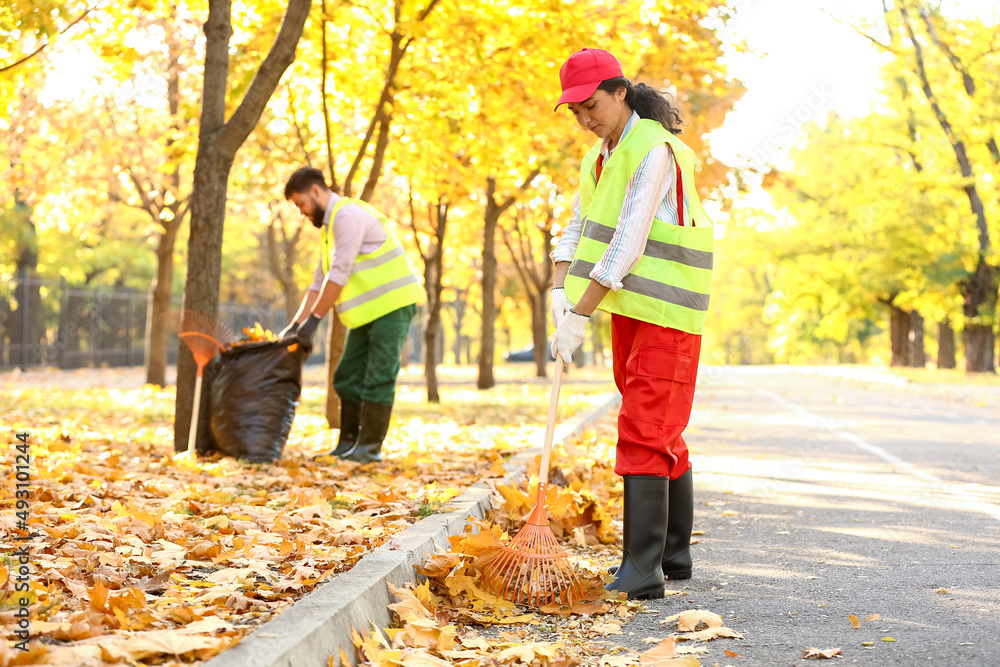 Workers gathering autumn leaves outdoors