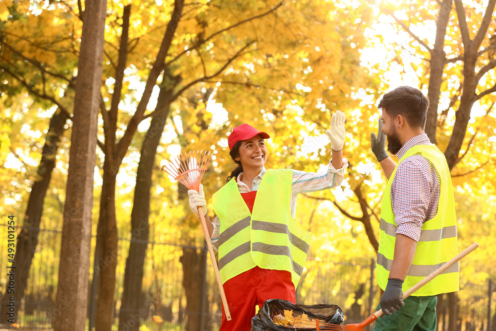 Workers giving each other high-five while gathering autumn leaves outdoors