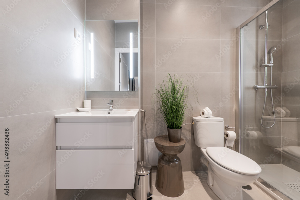 Tiled toilet with large gray tiles, plant on wooden stool and cabinet with white porcelain sink with