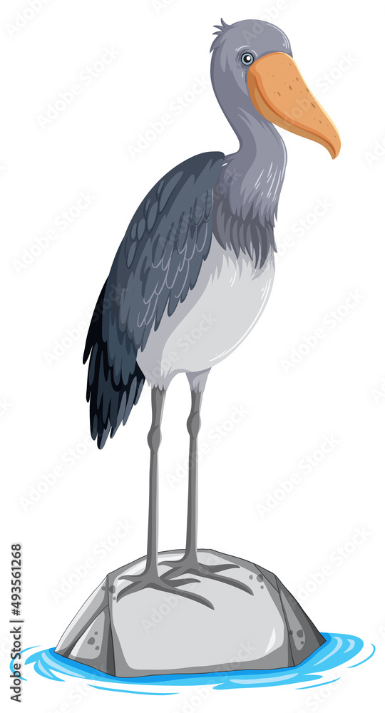 Heron bird standing on stone on white background