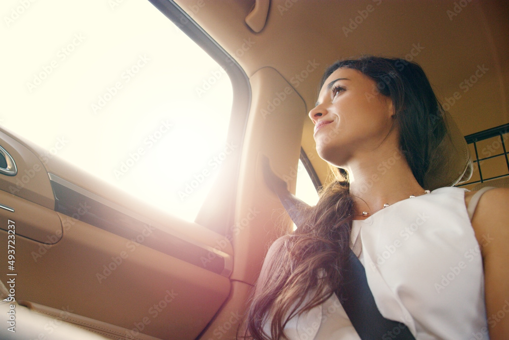 New possibilities awaken with every journey. Shot of an attractive young businesswoman sitting insid