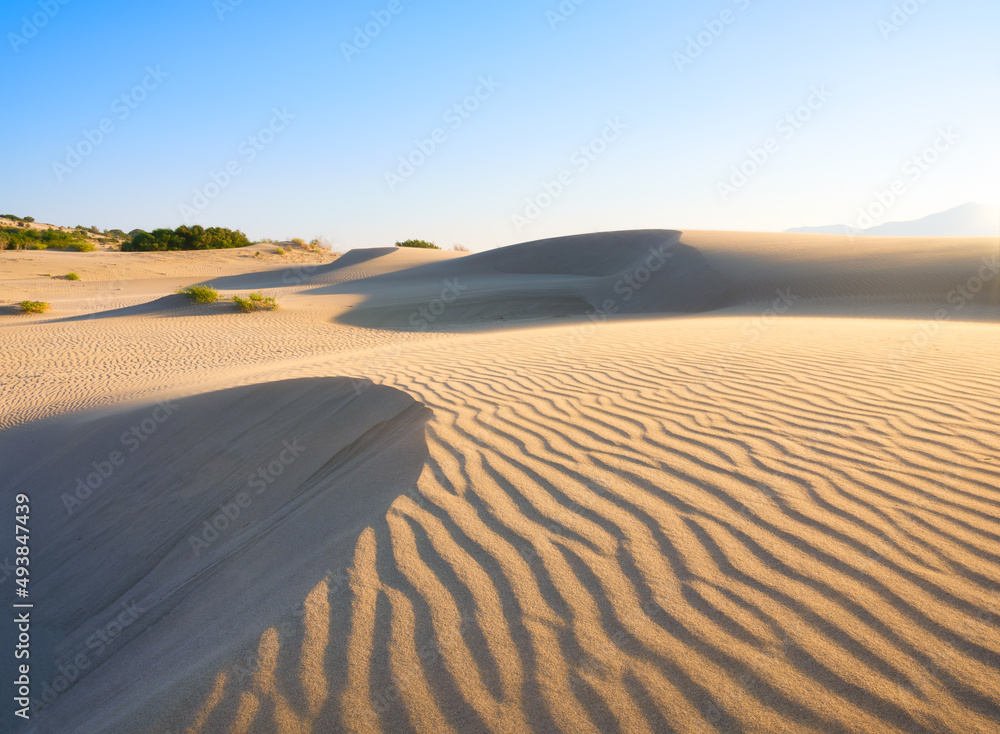 Sand dunes in the desert. Landscape in the daytime. Lines in the sand. Dunes and sky. Summer landsca