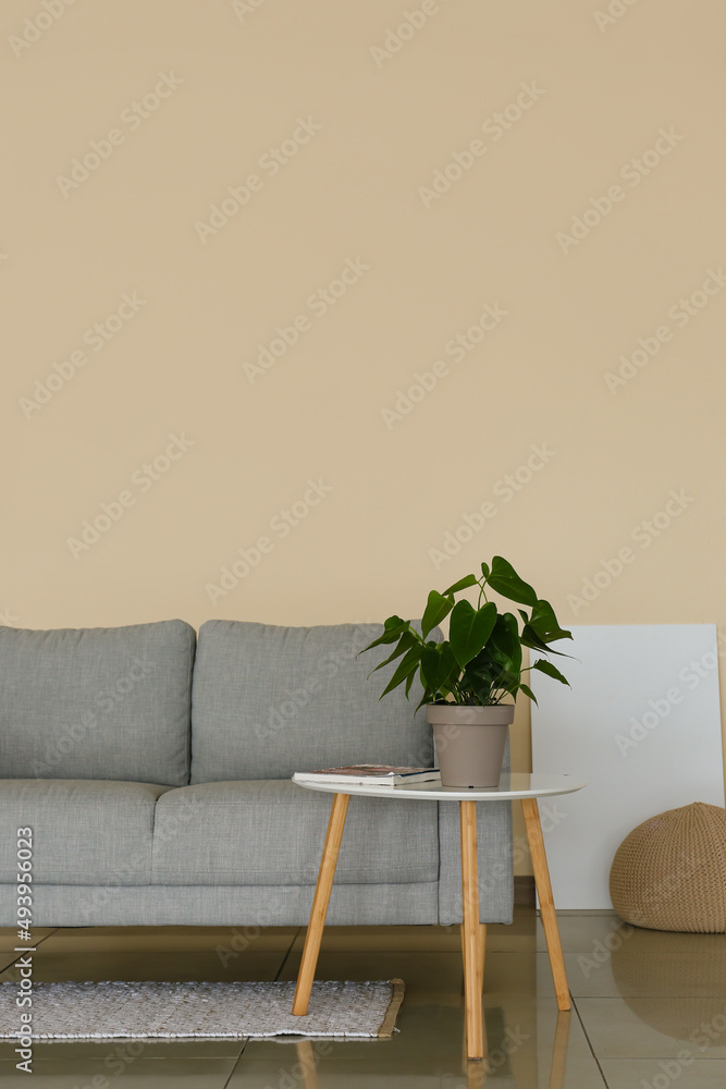 Interior of modern living room with stylish sofa, table and houseplant