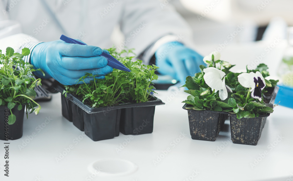 Shes gonna conduct the same experiment with different plant species. Cropped shot of an unrecognizab