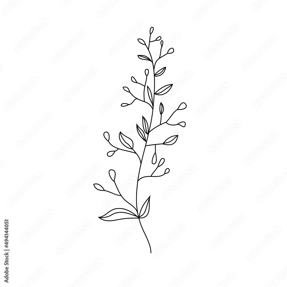 Botanical decorative branch with berries and leaves, line art, floral branch for the decor of cards,