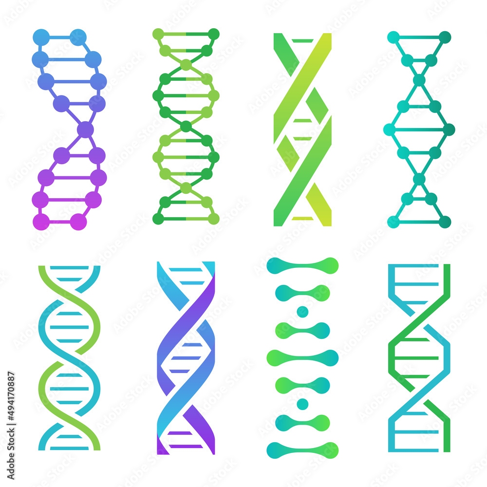 丰富多彩的DNA图标。用于科学研究的螺旋分子结构。带有信息的人类遗传密码