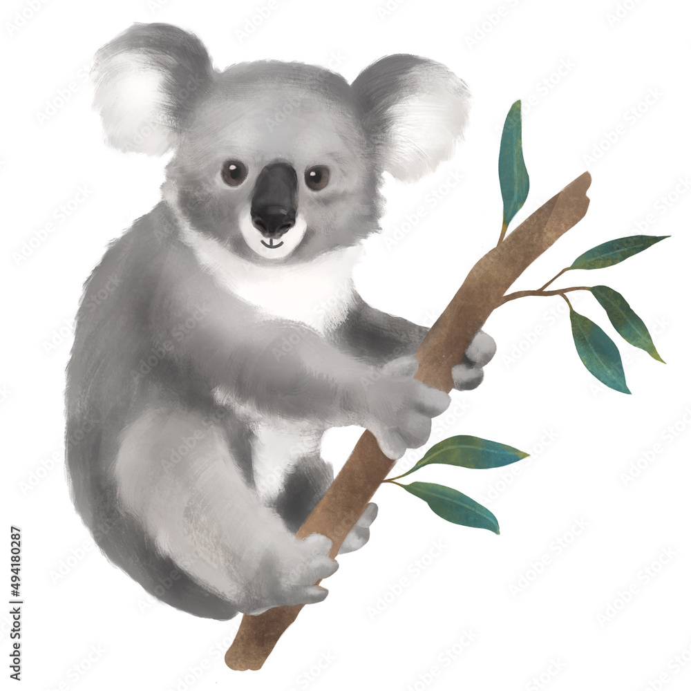 Isolated Hand Painted Watercolor Koala on Eucalyptus Branch