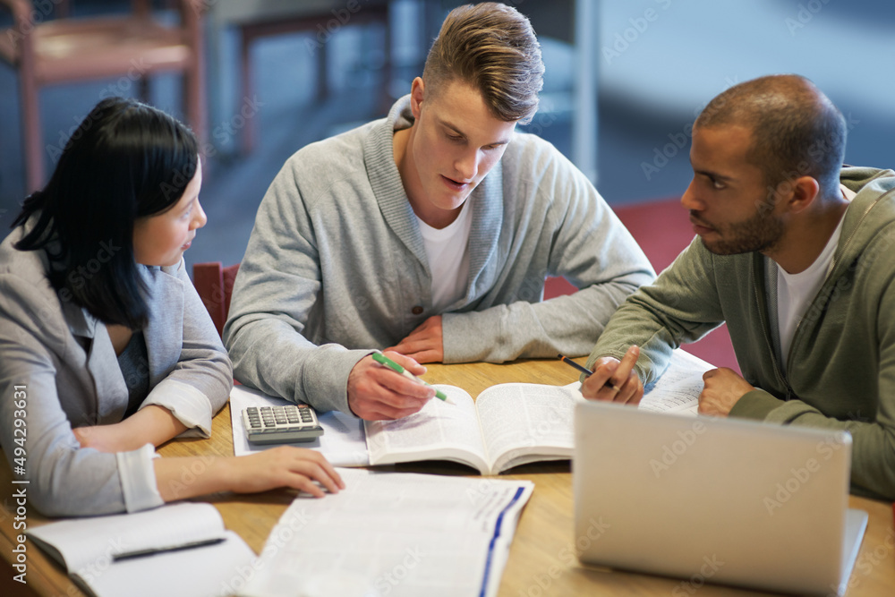 Cramming some last minute knowledge. A group of young people studying together in the library.