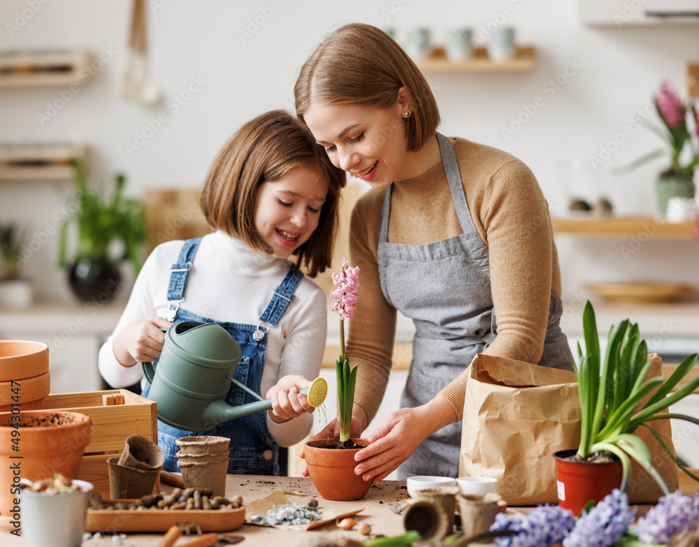 Mother and daughter replanting plants at home