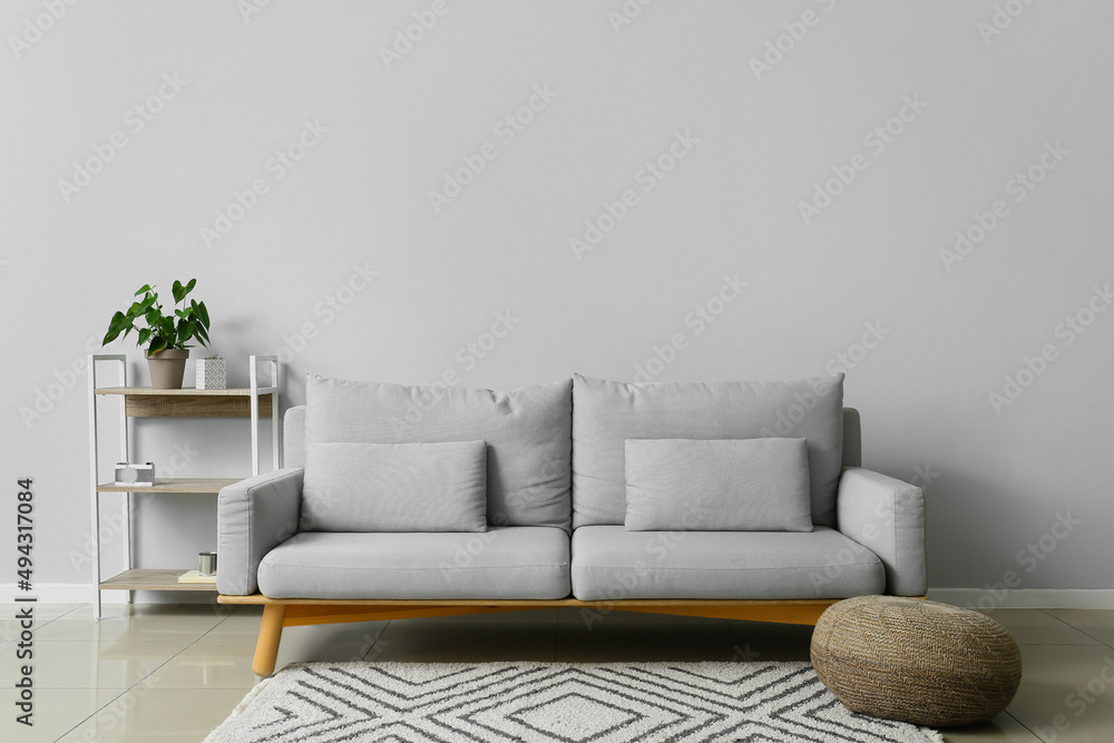 Interior of modern living room with stylish sofa and shelf unit