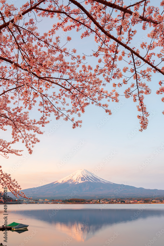 富士山作为日本川口湖的景色