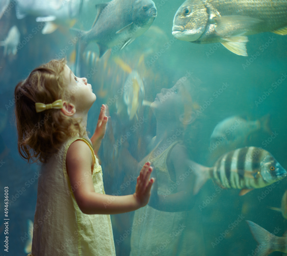 Shes focused on those fish. Cropped shot of a little girl on an outing to the aquarium.