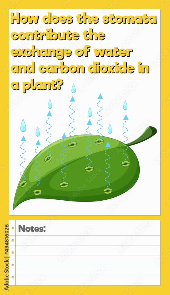 Science Experiment Log Worksheet