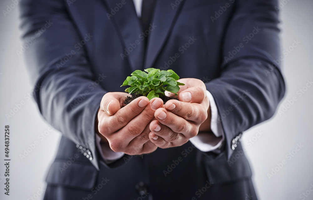 They feel strongly about the earth. Shot fo a business man holding a plant.