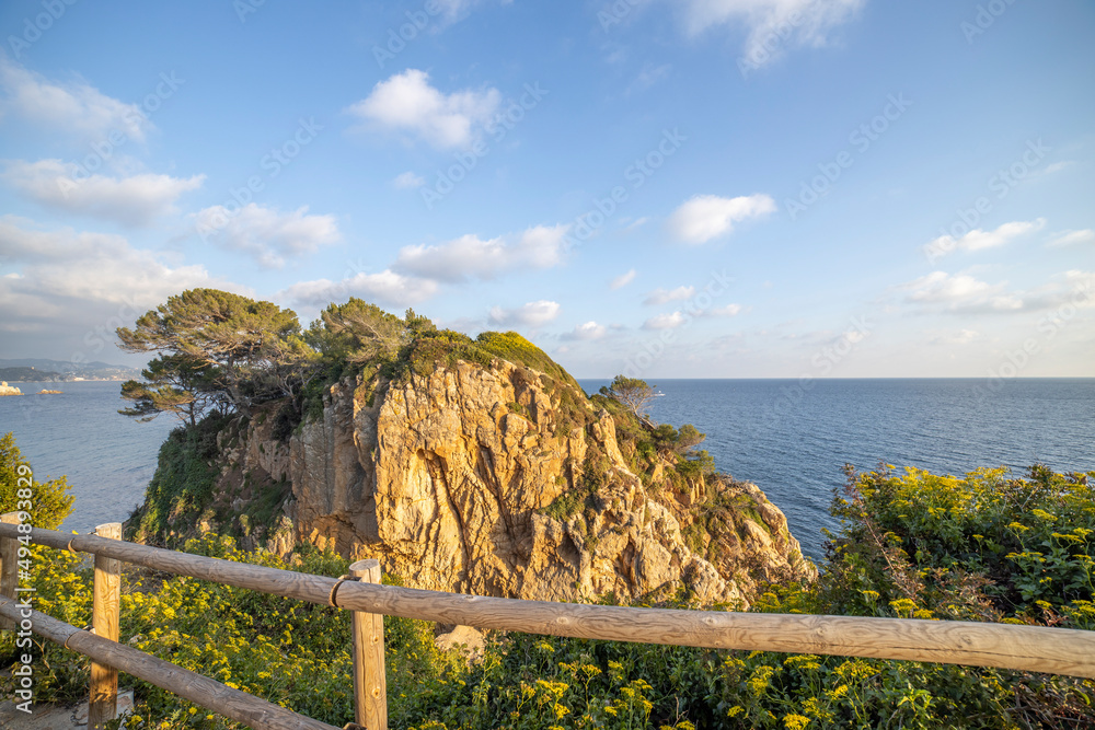 阳光明媚的日子里可以看到美丽的海景。明亮的绿色和蔚蓝的大海。地中海，布拉瓦海岸，西班牙