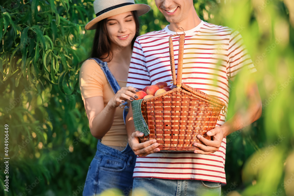 Young couple holding wicker basket with sweet peaches in garden