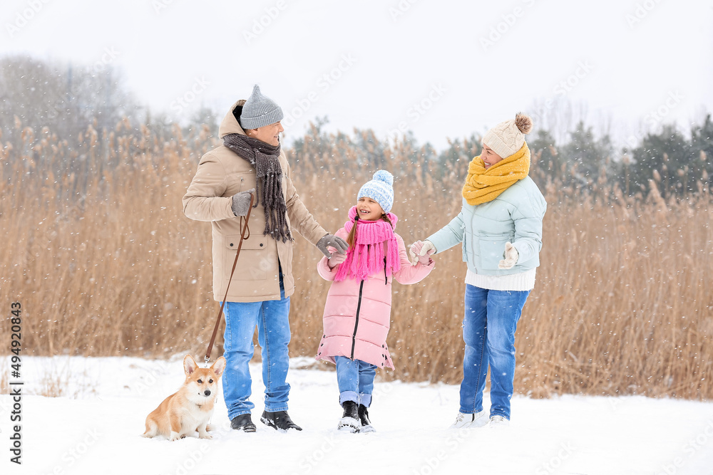 快乐的小女孩和她的爷爷奶奶在下雪的冬日和柯基犬一起散步