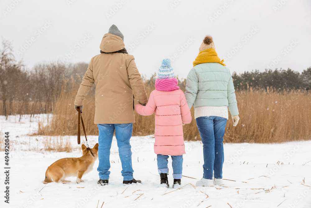 Happy little girl and her grandparents walking with Corgi dog on snowy winter day