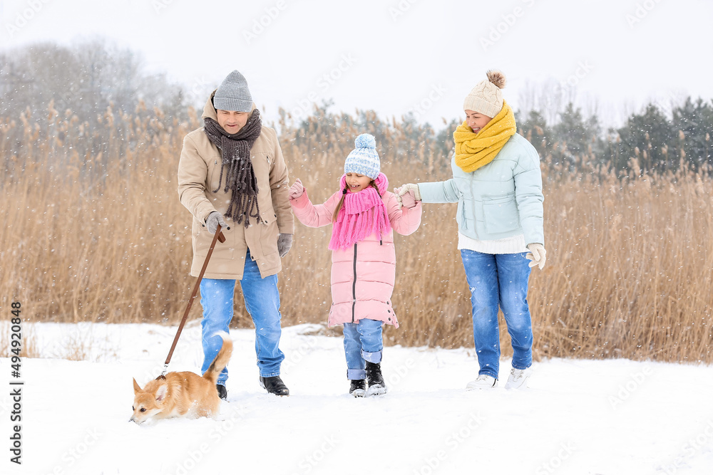 快乐的小女孩和她的祖父母在下雪的冬日和柯基犬一起散步