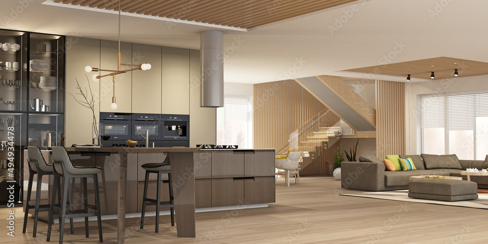 Modern interior of kitchen with living room	