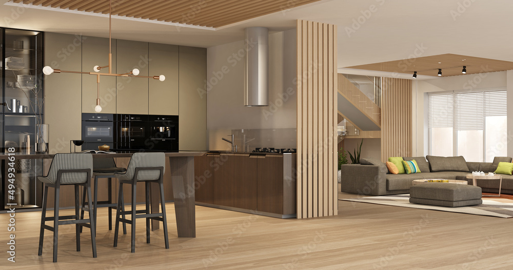 Modern interior of kitchen with living room	