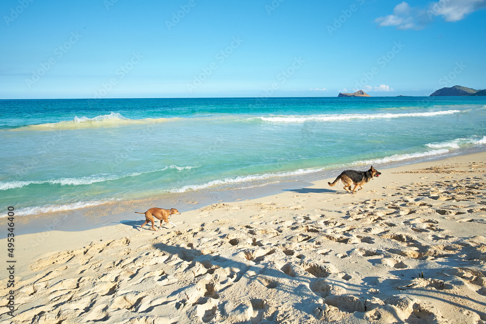 海滨。一系列海洋、海滩和海岸的照片。