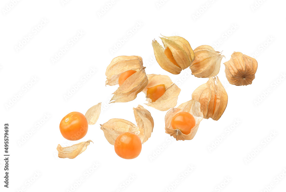 在白色背景下分离的开普醋栗（physalis）果实。