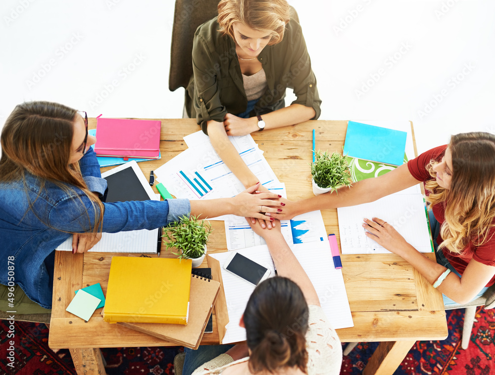 United in their quest for academic excellence. High angle shot of two female university students wor