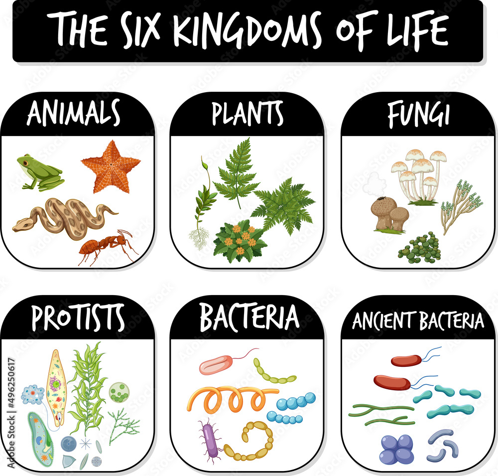 生命六王国示意图