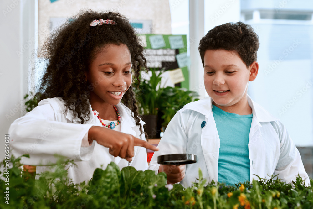 Look whos sprouting up. Shot of an adorable little boy and girl learning about plants at school.