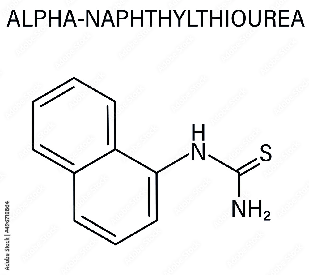 α-萘基硫脲（ANTU）灭鼠剂分子。骨骼配方。