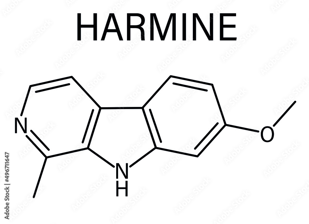 生物碱分子。单胺氧化酶A（MAO-A）的草药抑制剂。骨骼配方。