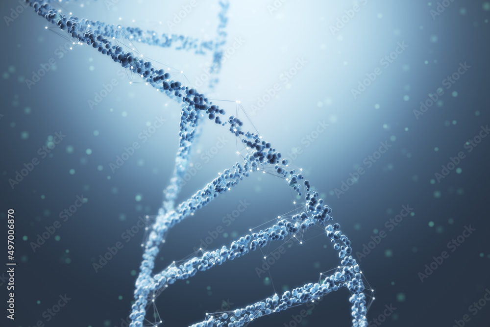 灰色背景下富有创意的多边形人类DNA螺旋。生物学和基因概念，3D渲染。