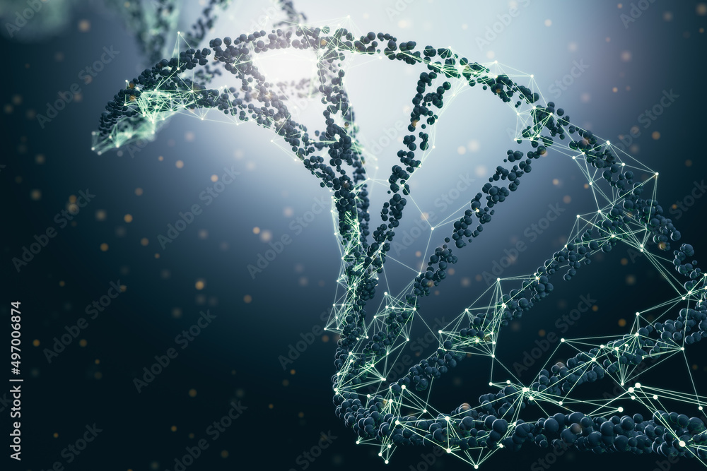 灰色背景上的抽象多边形人类DNA螺旋。生物学和基因概念，3D渲染。