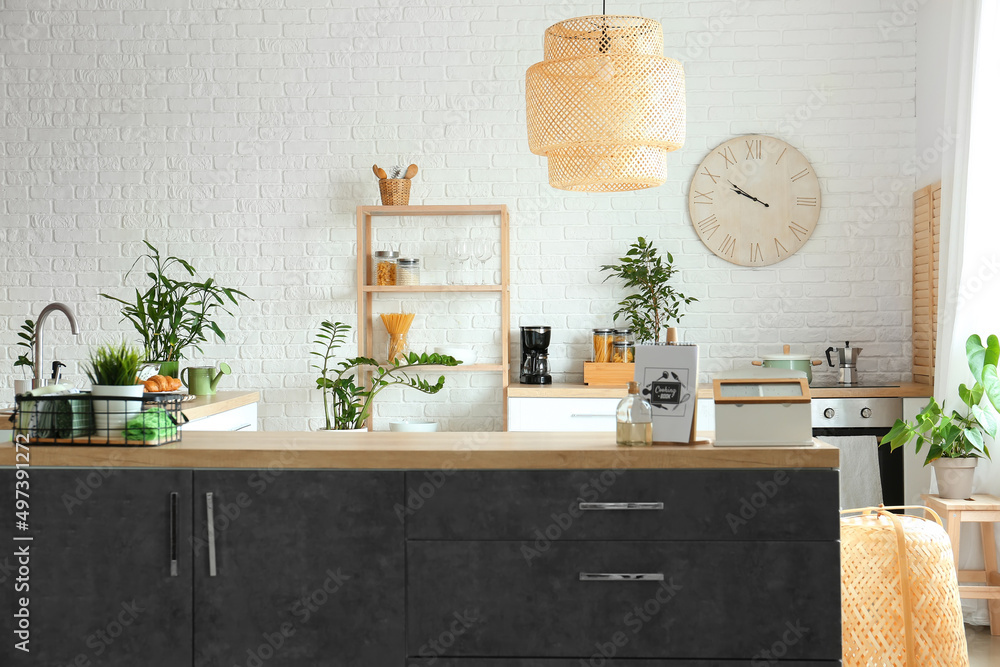 Interior of modern kitchen with counters, houseplants and clock