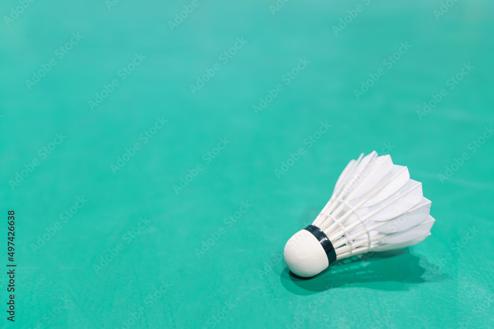 shuttlecock on badminton playing court