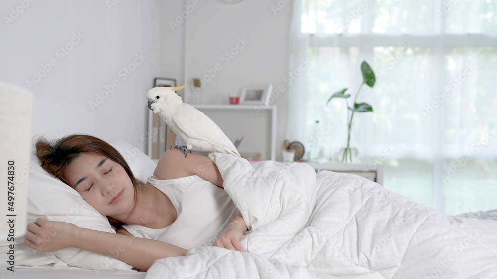 Young Asian woman lying on bed woke up and greeted by a cockatoo parrot in the morning