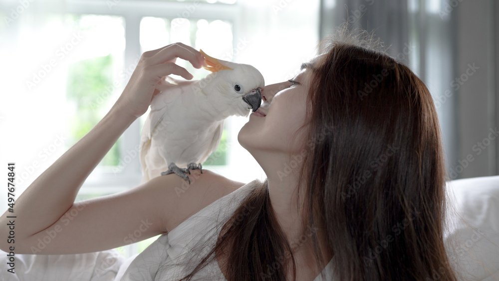 Cockatoo parrot sitting on womans shoulder and kissing her on the bed in the morning