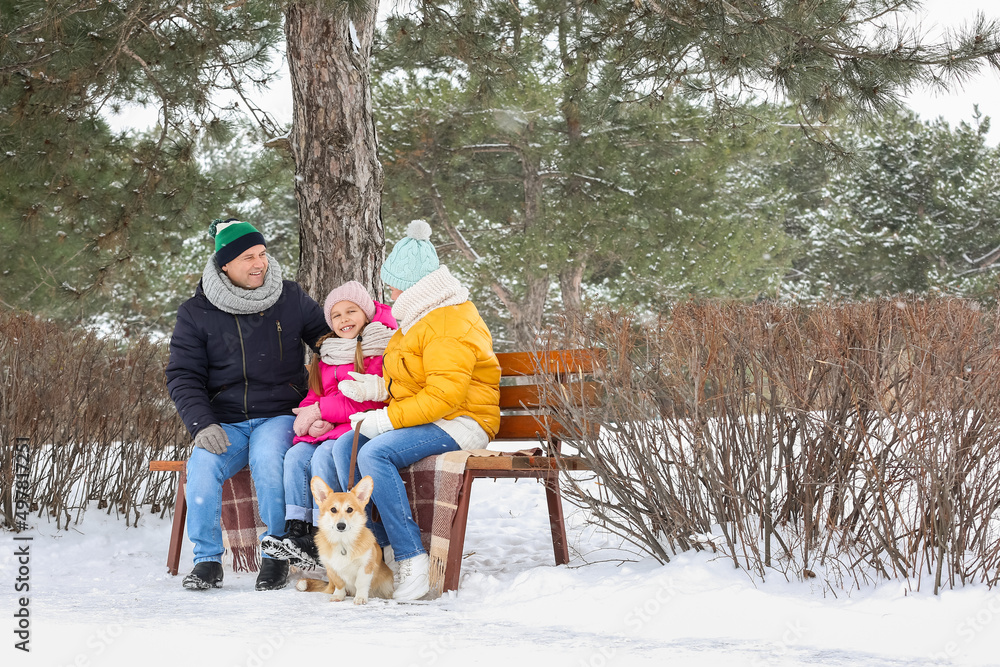 下雪的冬日，小女孩和她的祖父母以及柯基犬在公园里