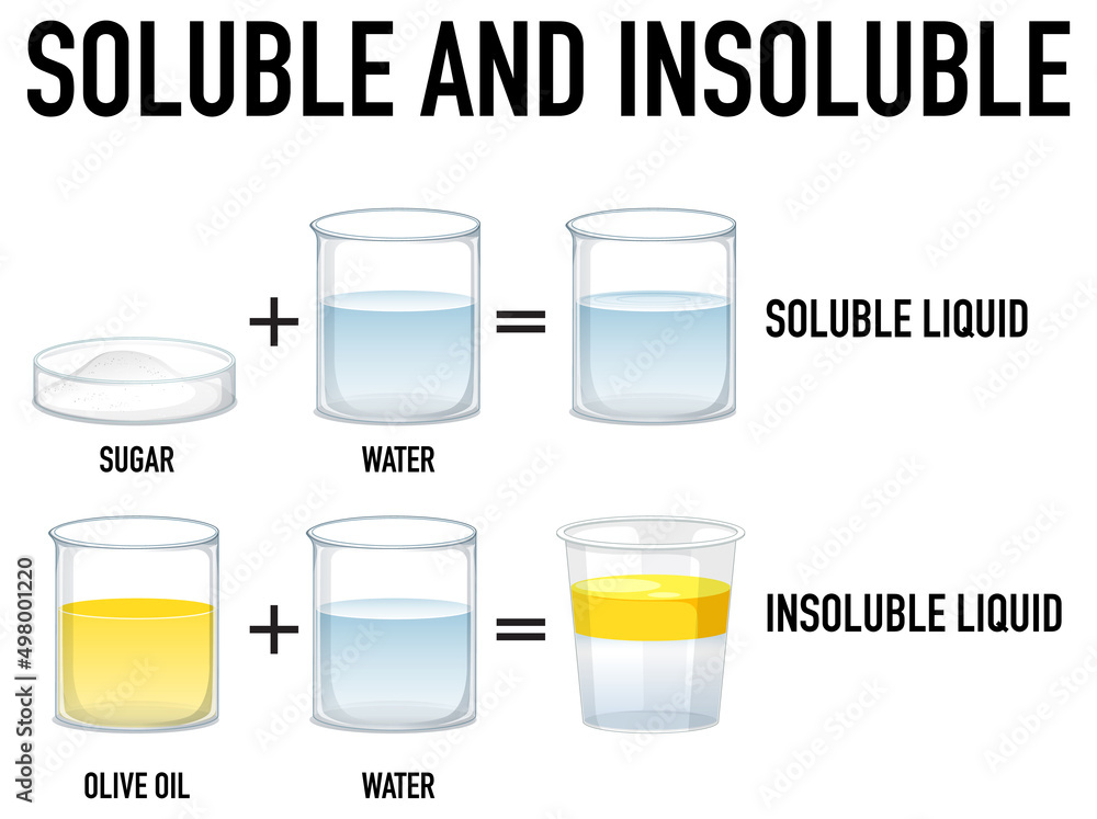 可溶性和不可溶性科学实验