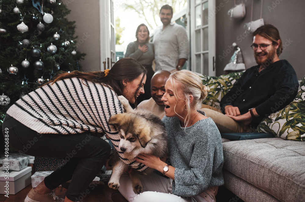 Its so fluffy. Cropped shot of a group of cheerful friends hanging out together with a puppy in the 