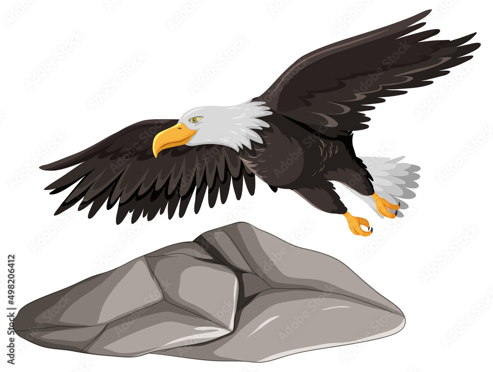 Eagle flying over gray rock