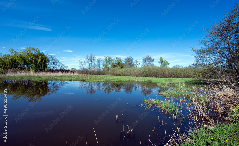 Paysage des étangs de La Dombes dans le département de lAin en France au printemps