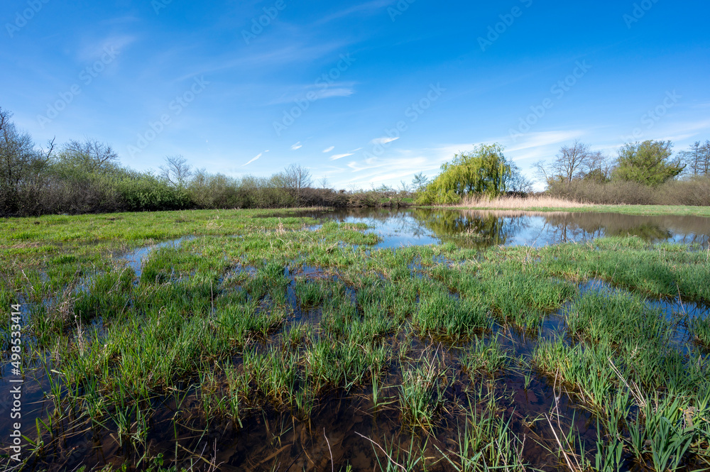 Paysage des étangs de La Dombes dans le département de lAin en France au printemps