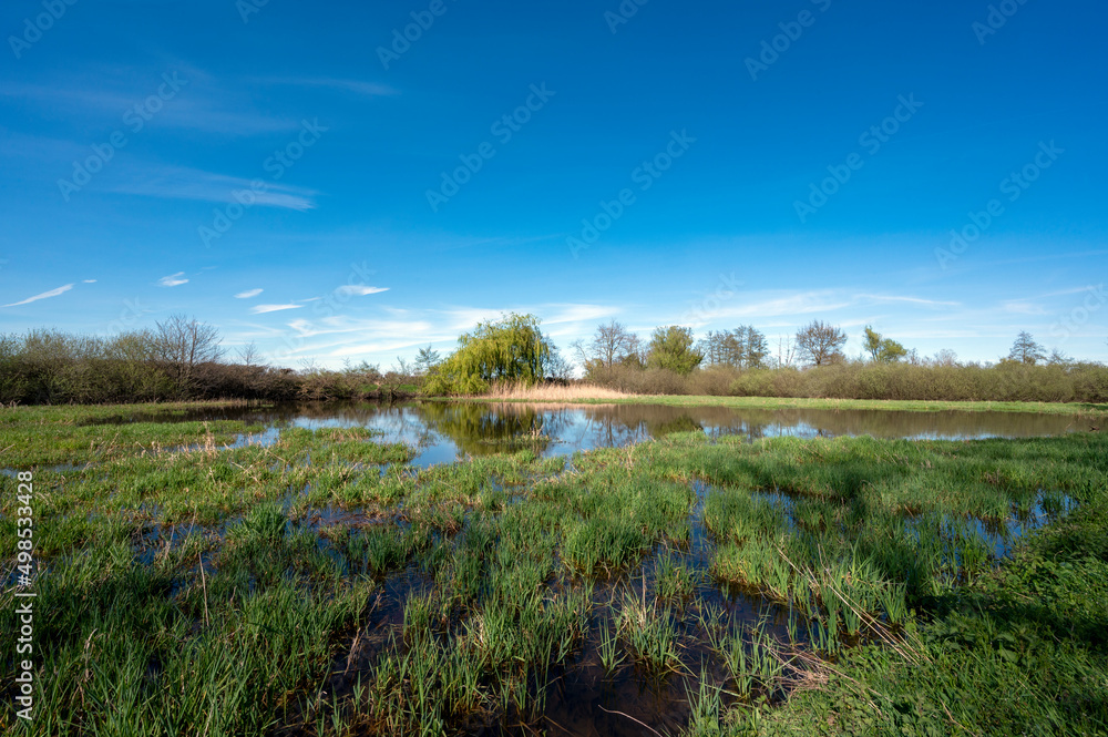 Paysage des étangs de La Dombes dans le département de lAin en France au printemps